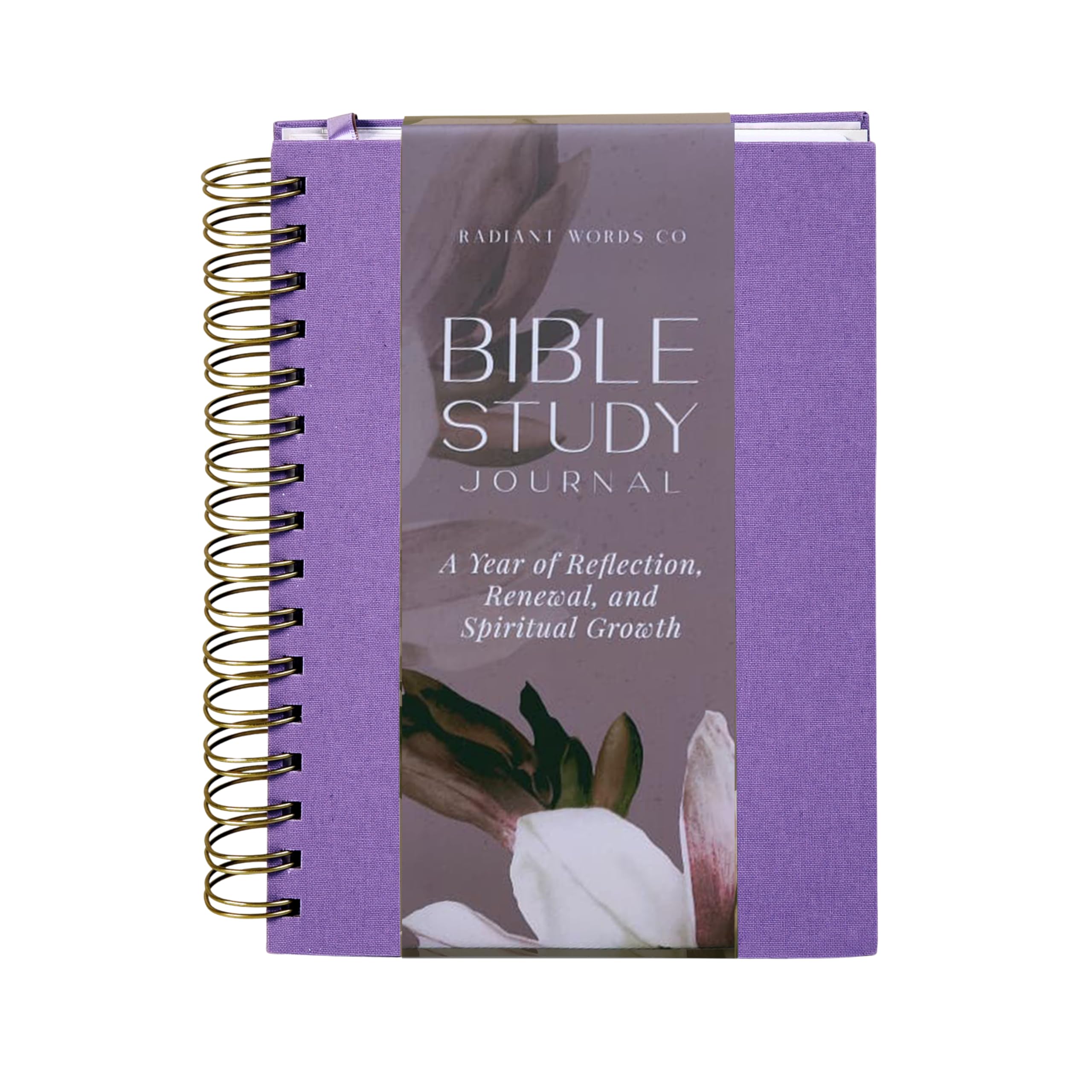 Bibelstudium-Tagebuch – Ein Jahr der Reflexion, Erneuerung und des spirituellen Wachstums | 365-tägiges geführtes Schriftstudium, Gebetstracker und wöchentliche Reflexionsanweisungen | A5