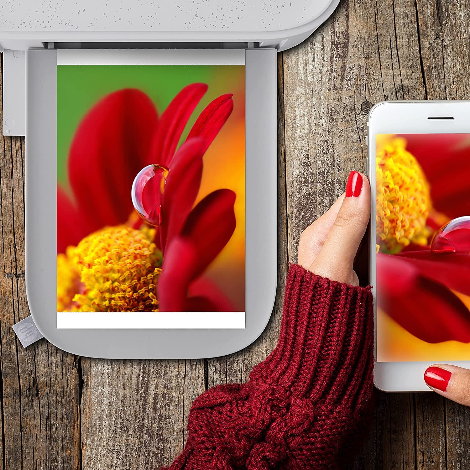 HP Sprocket Studio Plus Stampante Wi-Fi – Stampa in modalità wireless foto 4x6 + Sprocket Studio Plus 10,2 x 15,2 cm Carta fotografica e cartucce (include 108 fogli e 2 cartucce)
