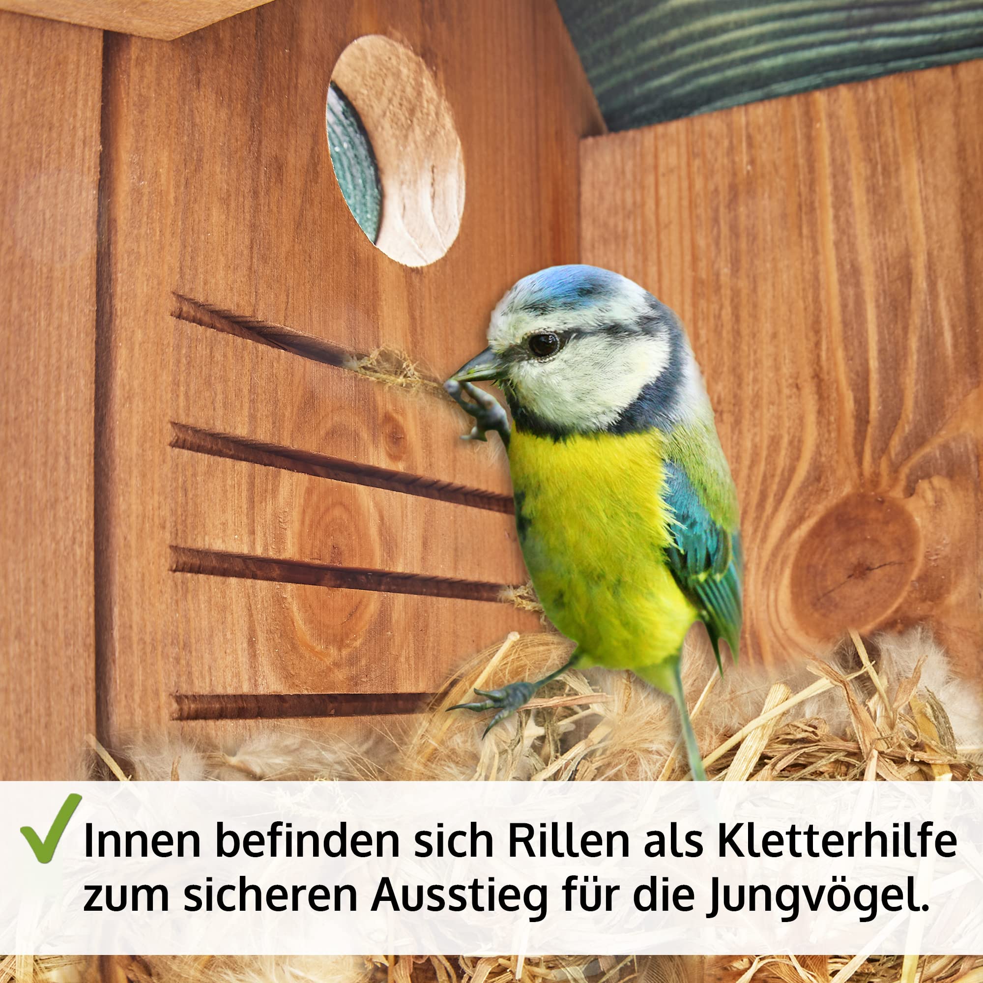 zooprinz Stabiler Nistkasten für Wildvögel/Gartenvögel mit sicherem Schutz gegen Nesträuber – witterungsbe-ständig und langlebig für draußen – 2 Farben zur Wahl - Nistkasten