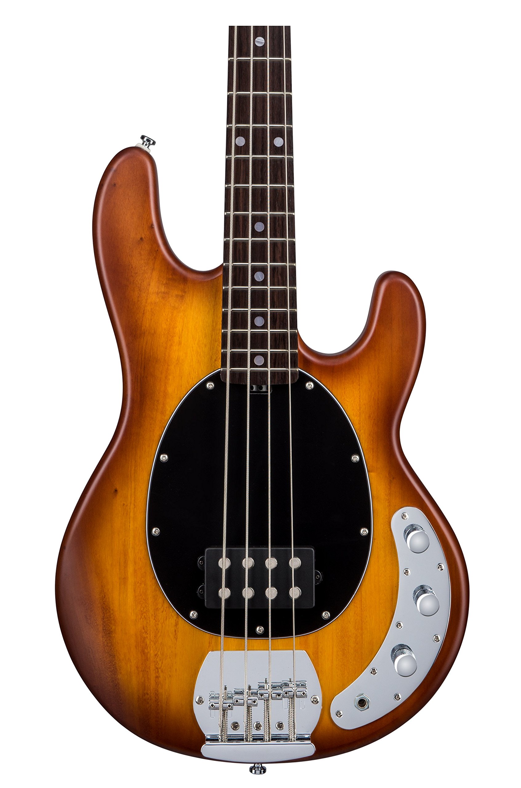Amazon | STERLING by Musicman RAY4 HBS スティングレイ ベース