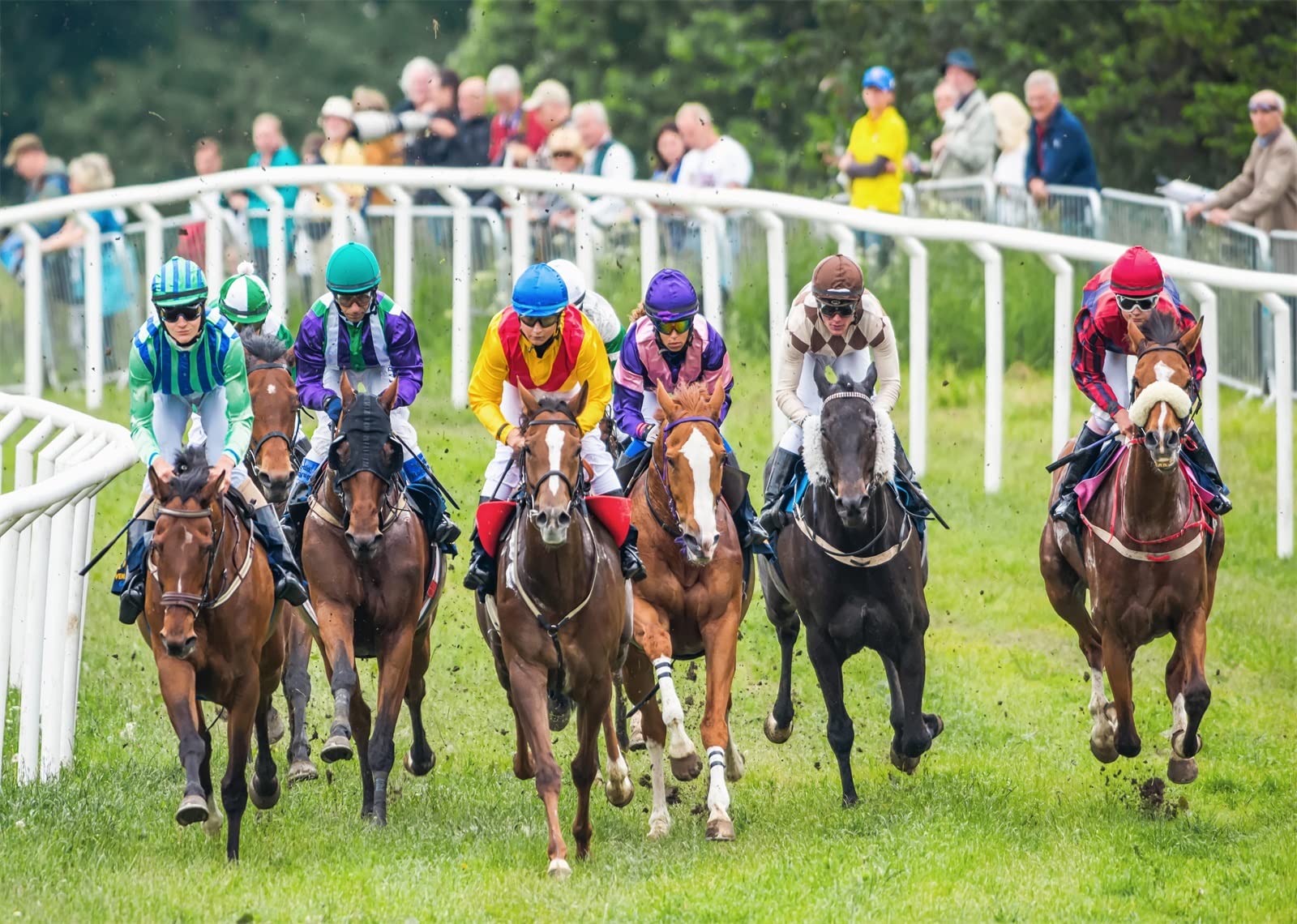 BELECO 7x5ft Fabric Horse Racing Backdrop for Derby Party Decorations Derby Racecourse Photography Background Horse Race Derby Party Supplies Banner