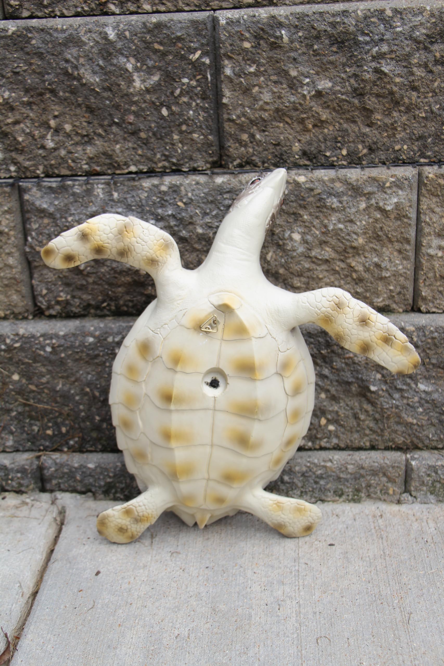 Amazon.co.jp: Happie Hare – 実物大のリアルな手描き樹脂ウミガメの