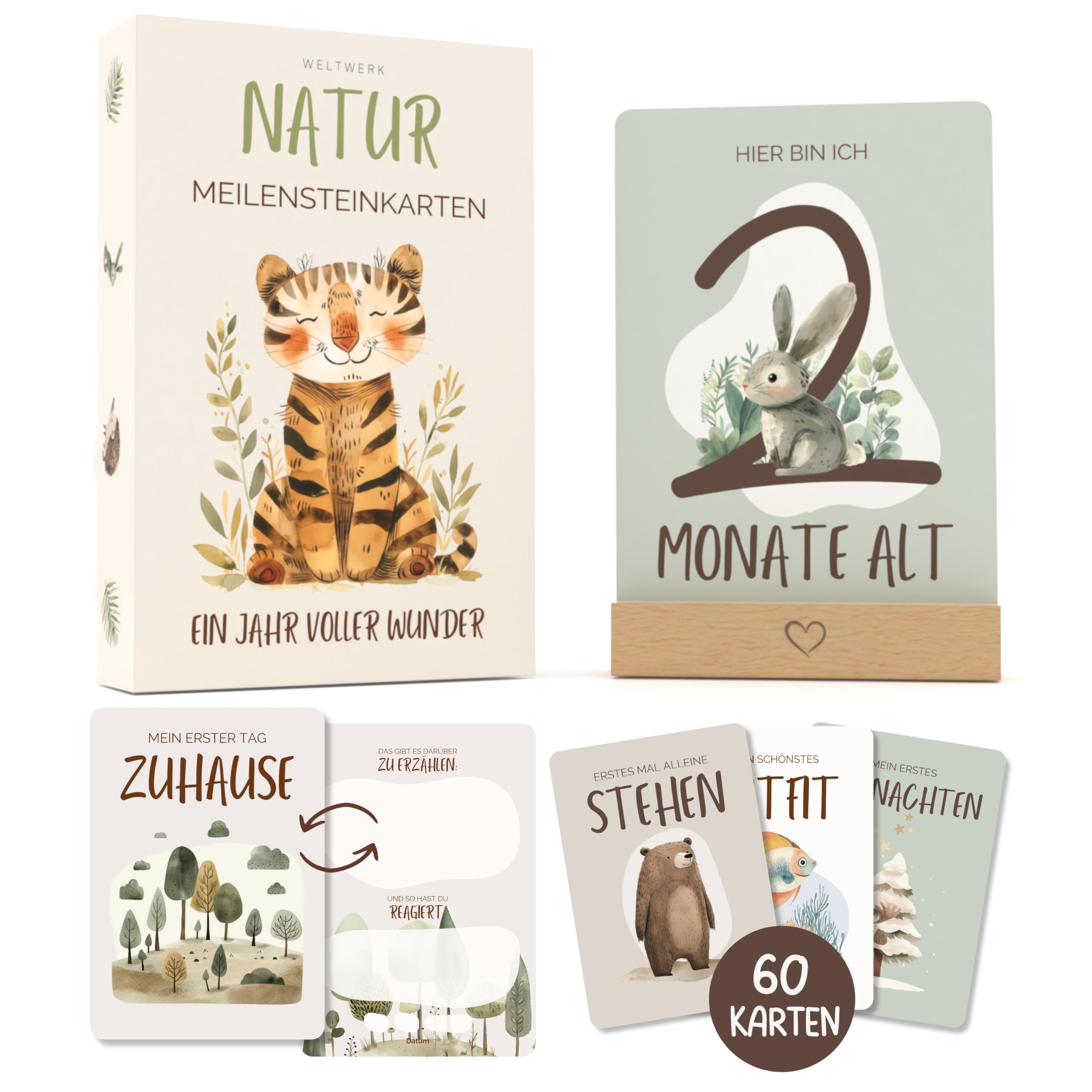 WELTWERK Meilensteinkarten Baby [Natur] 60 Monatskarten mit beschreibbaren Rückseiten – inkl. Geschenkbox und Holzaufsteller – Geschenk zur Schwangerschaft, Babyshower und Geburt