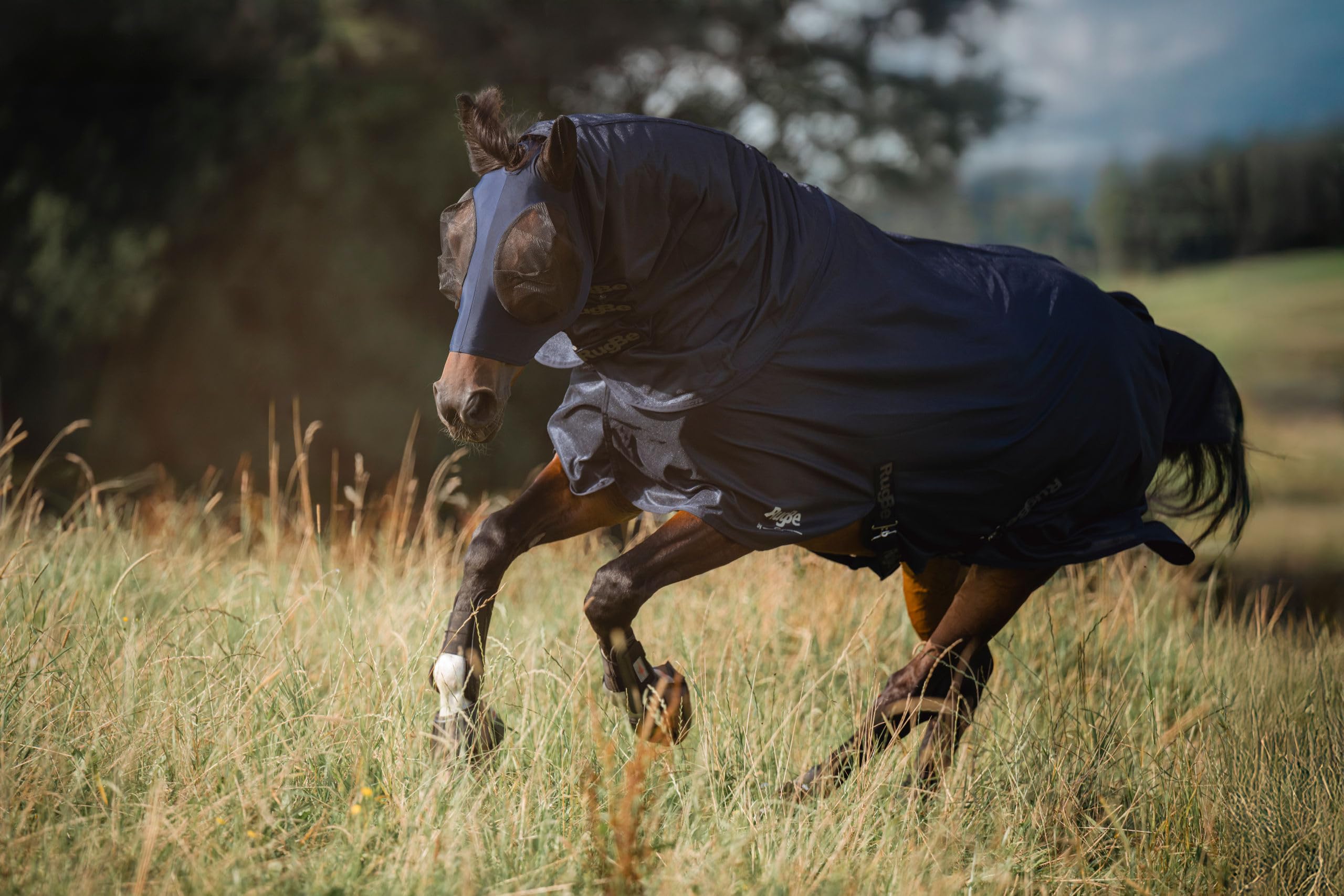Covalliero Manta antimoscas RugBe Superfly, Manta para Caballos, Manta de Montar, Azul Marino, 135 cm, 185 cm, Caballo, Lavable a máquina a 30 °C