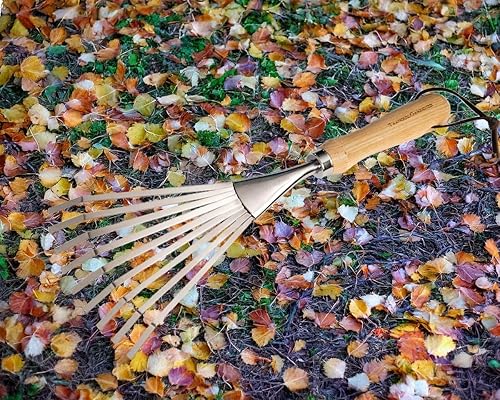 Miniatura 5 de Rastrillo de 9 dientes de acero inoxidable