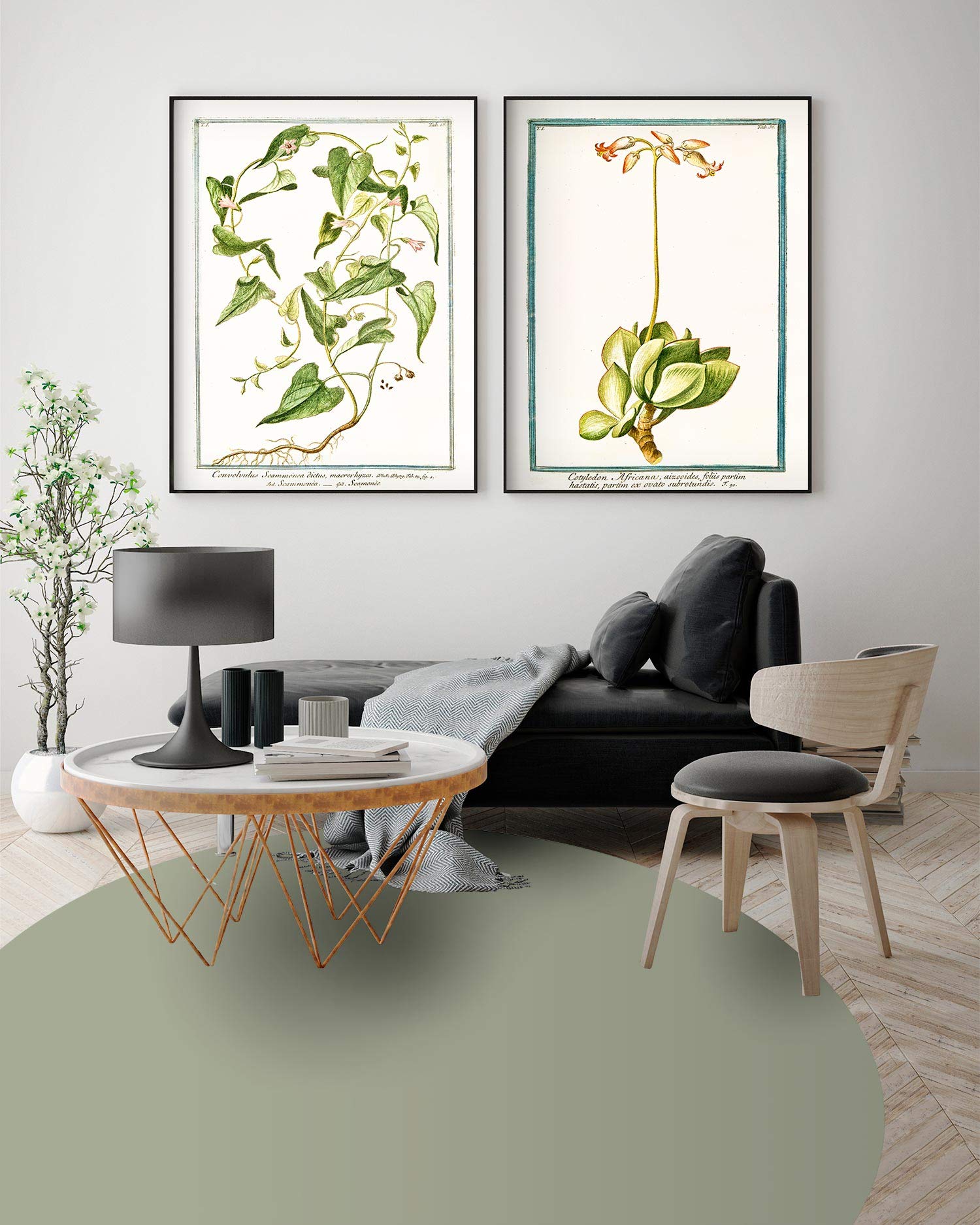 Panorama Alfombra Vinílica - Modelo Redonda Lisa Verde 150x150 cm - Varios tamaños - Decoración Hogar, Cocina y Salón