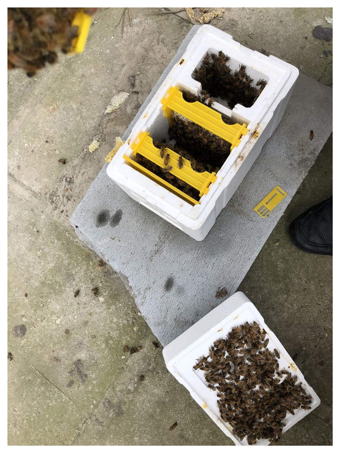 Honeybee Valley | Imkeren volgens Roger De Vos