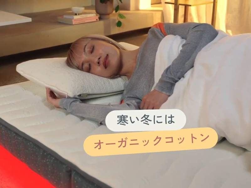 Amazon.co.jp: 【公式】koala 【コアラフトン PLUS】 折り畳み