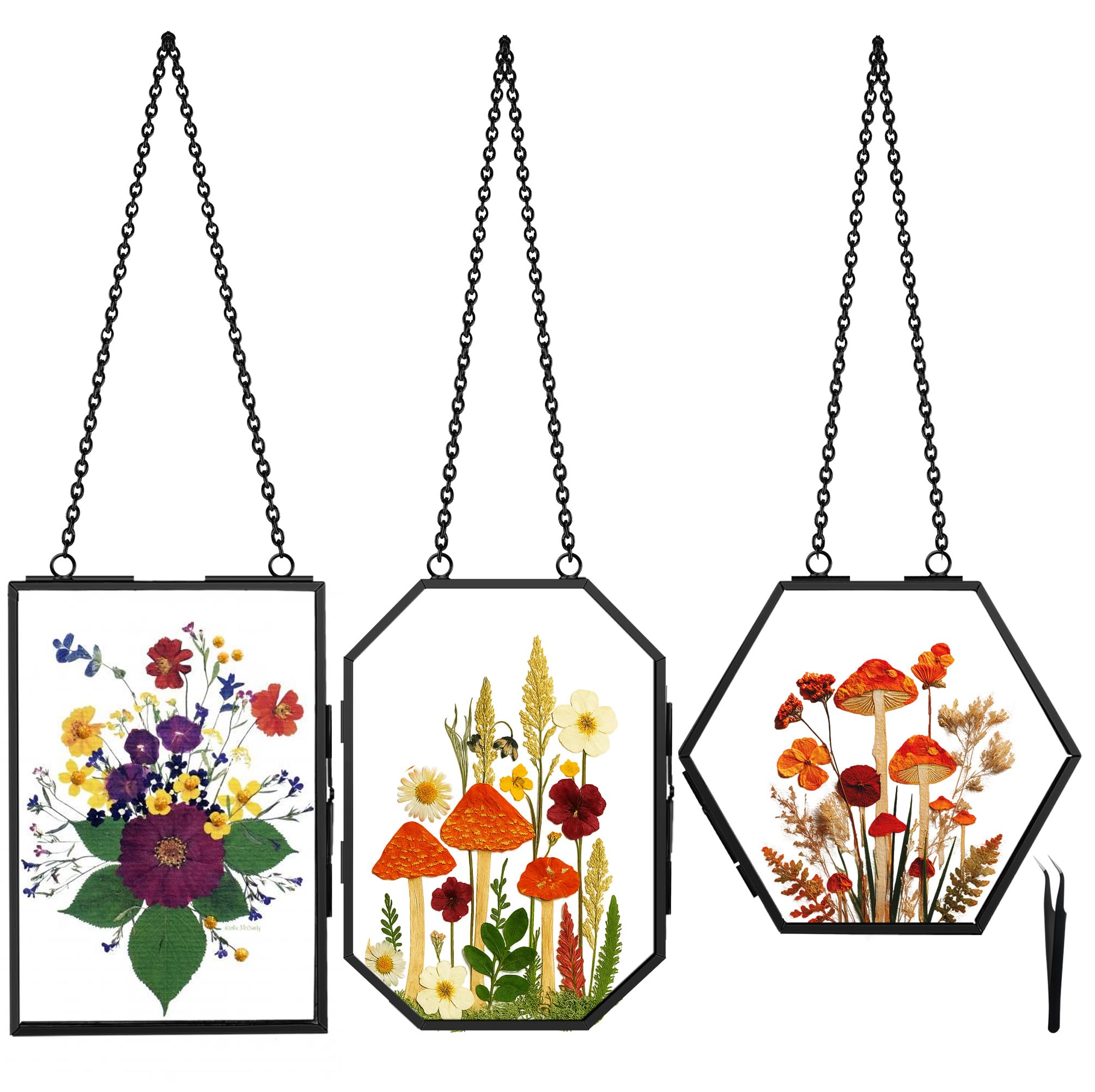 Photo 1 of **MISSING FRAMES** BABUFINE Pressed Flower Frames with Tweezers, Wall Hanging Double Glass Picture Frames with Chain for Dried Flowers Plants Wall Decor,Only Frame (Black-3PCS)