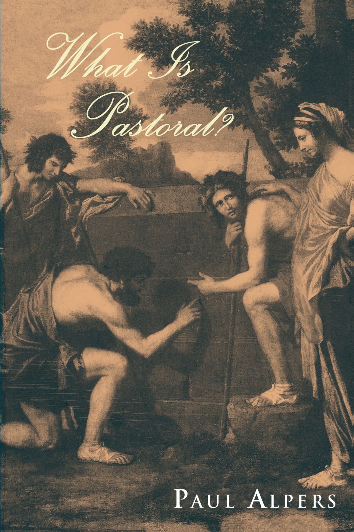 What Is Pastoral? (Emersion: Emergent Village resources for communities of faith)