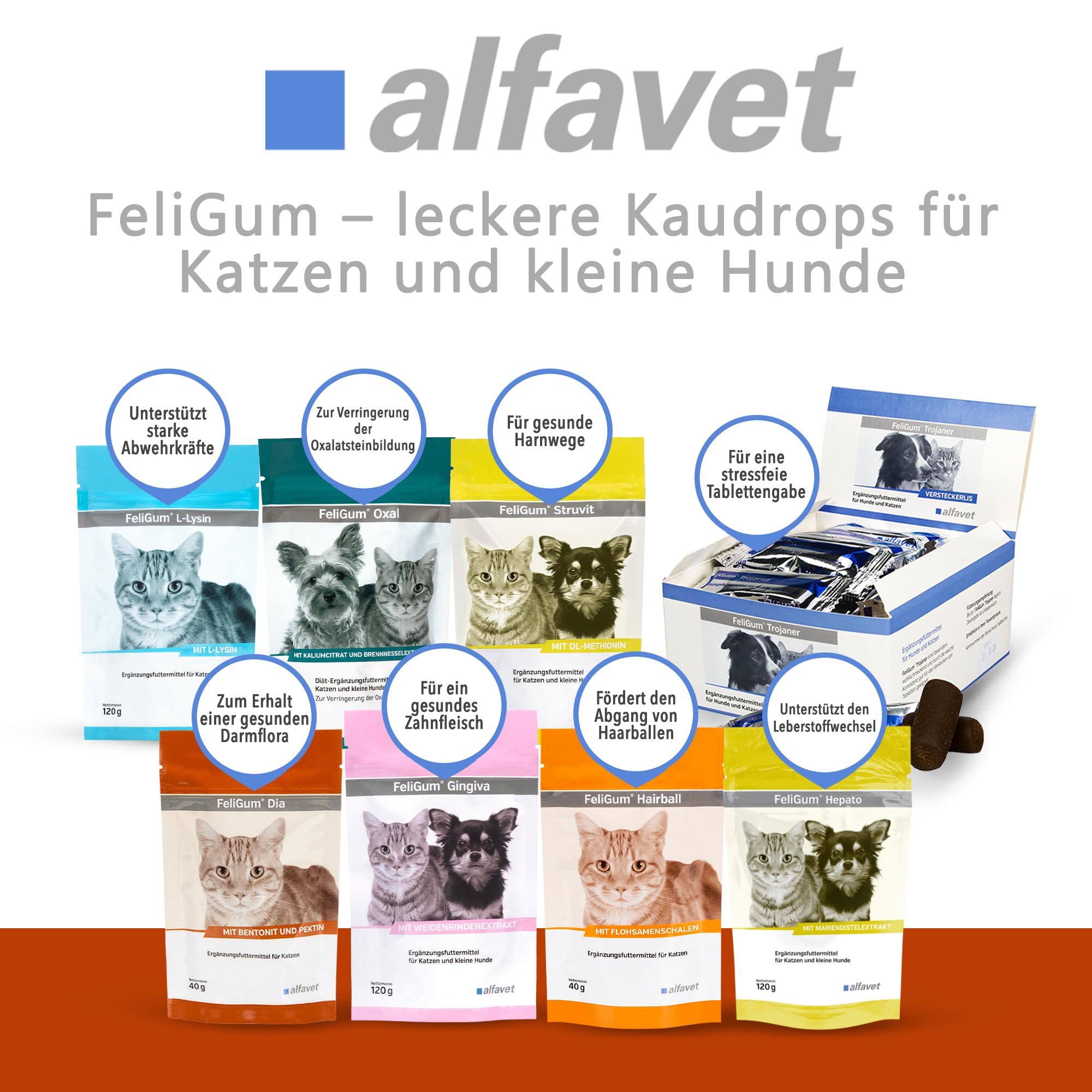 alfavet FeliGum Dia, complément Alimentaire en Cas de diarrhée pour Chats, Troubles de la résorption intestinale, pastilles à mâcher, Sachet de 40 g