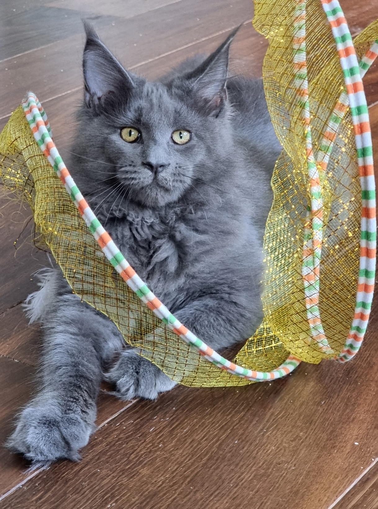 5 Palline Di Sisal Per Gatti - Con Campanello, Giocattolo Interattivo