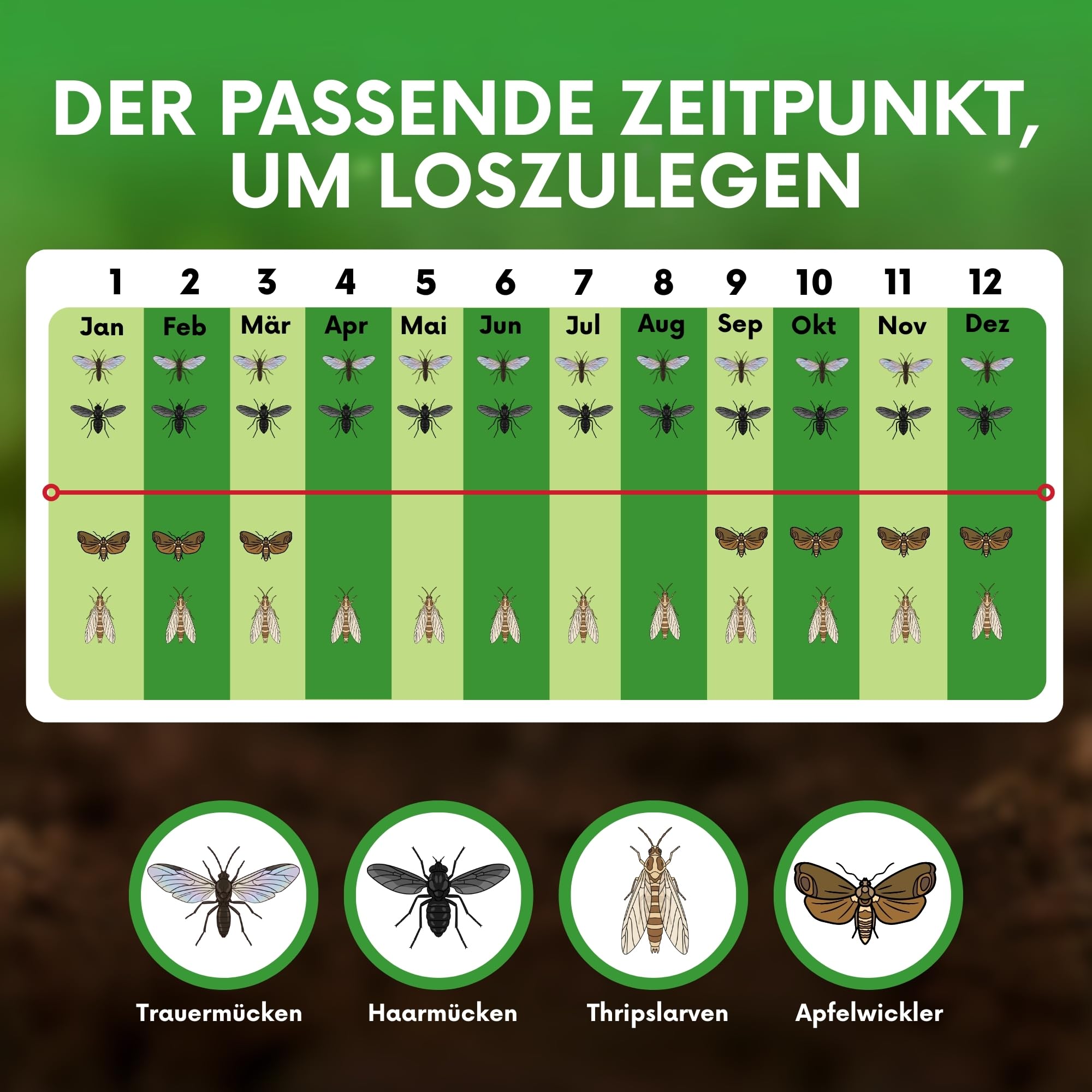 SF- Nematoden 100 mio für 200 m² gegen Trauermücken, Thrips, Weiße Fliege und weiteren Schädlingen biologische Schädlingsbekämpfung mit Fadenwürmern