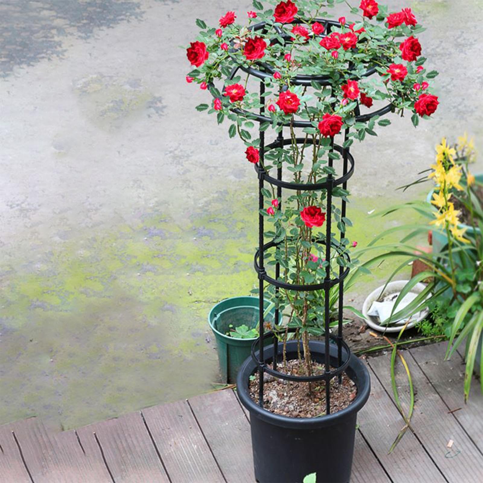 Gartengurkenspalier – Pilzpflanzenstütze | windabweisende Gartengemüse-Stützkäfige für Rebe, Clematis, Efeu, Zucchini, Bohnen, Trauben