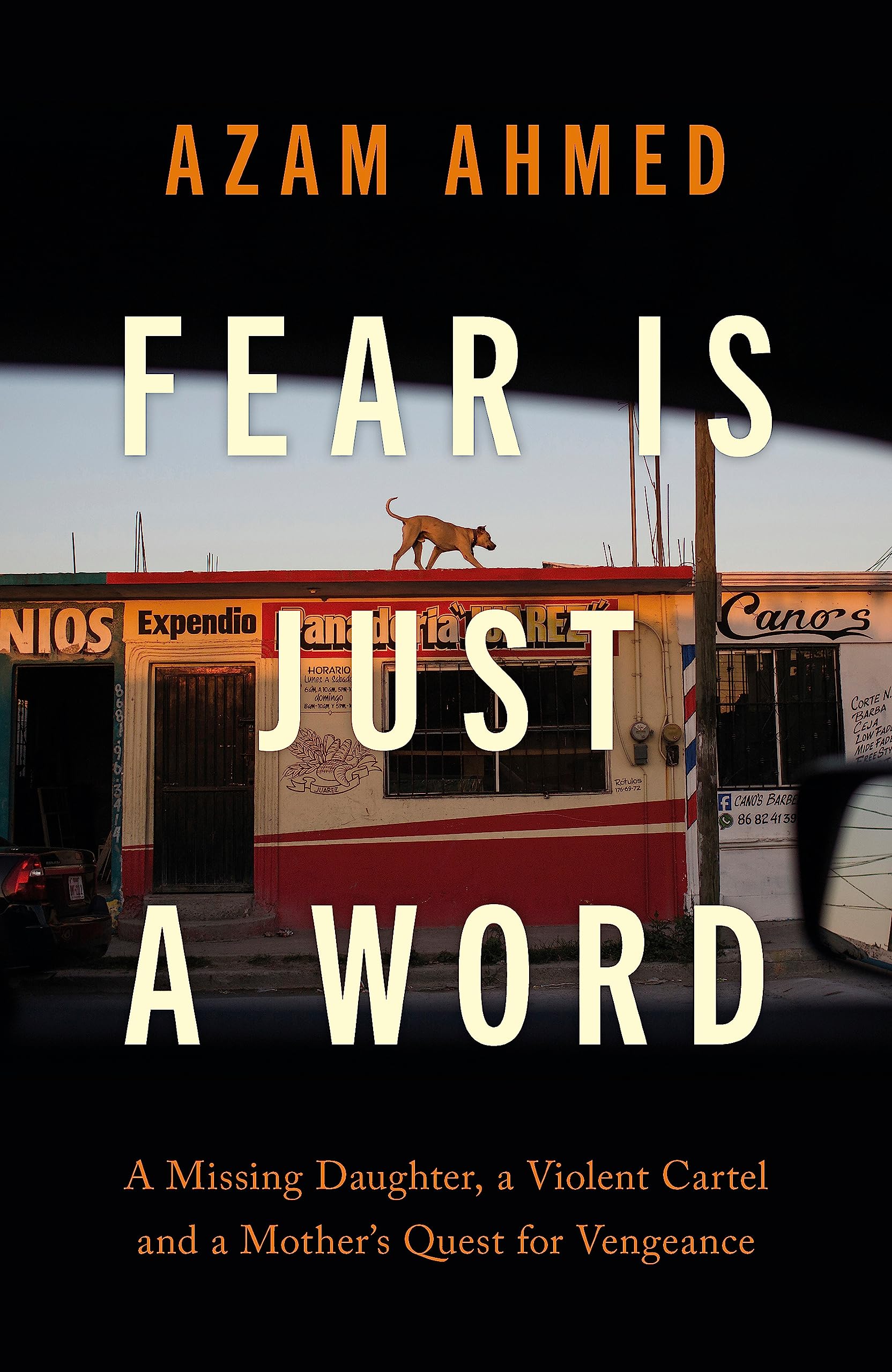 Fear is Just a Word (Dilly's Story)