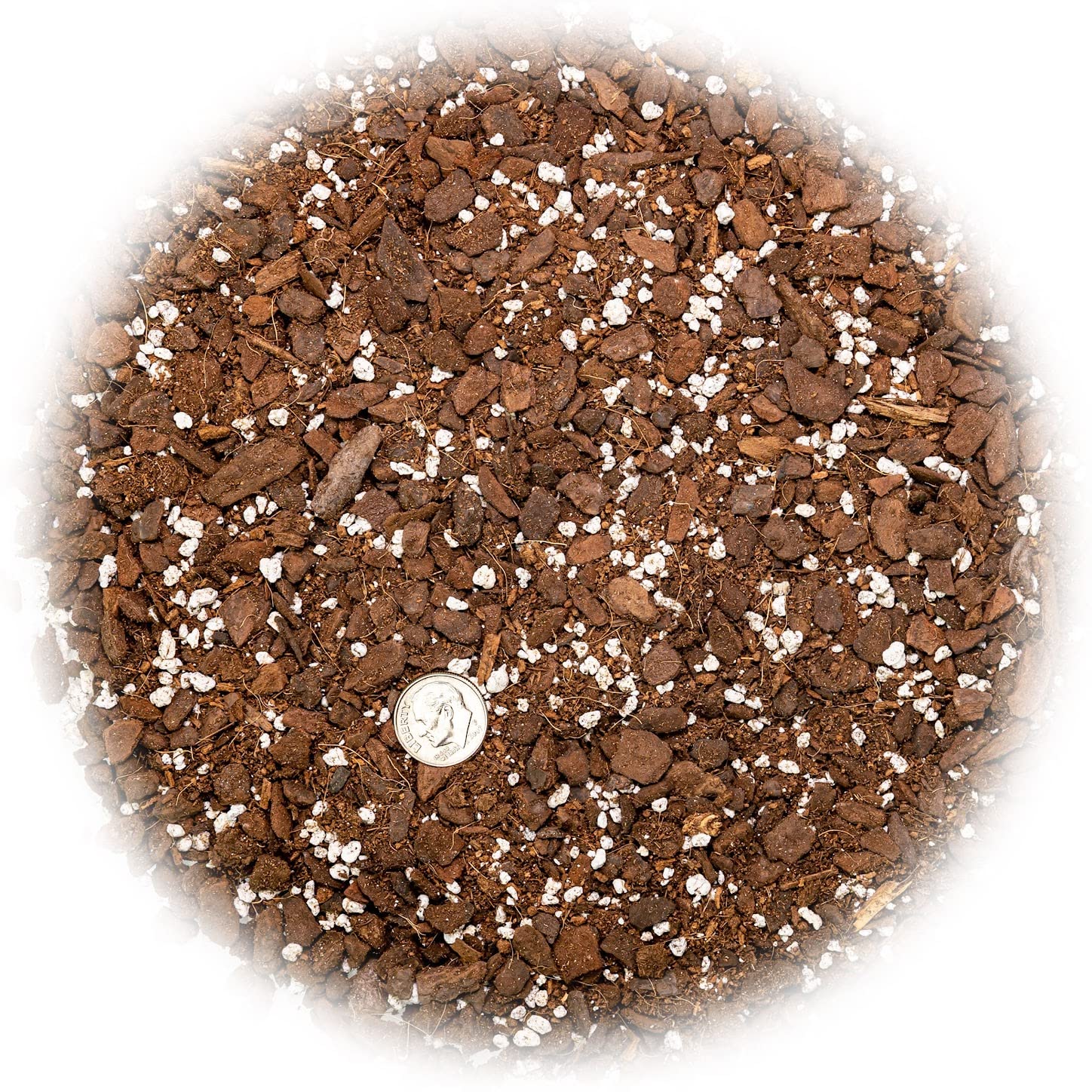 Amazon.com : Gardenera Premium Monstera Potting Soil - Quick Drain Potting  Soil for Growing and Repotting Monstera Deliciosa/Swiss Cheese Plant - 1  Quart Bag : Patio, Lawn & Garden