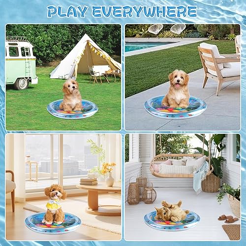 Cat Dog Water Mat, Thickened Durable Non-Slip Playmat, Durable Easy Clean Water Mat, for Indoor and Outdoor Cat Dog Toys