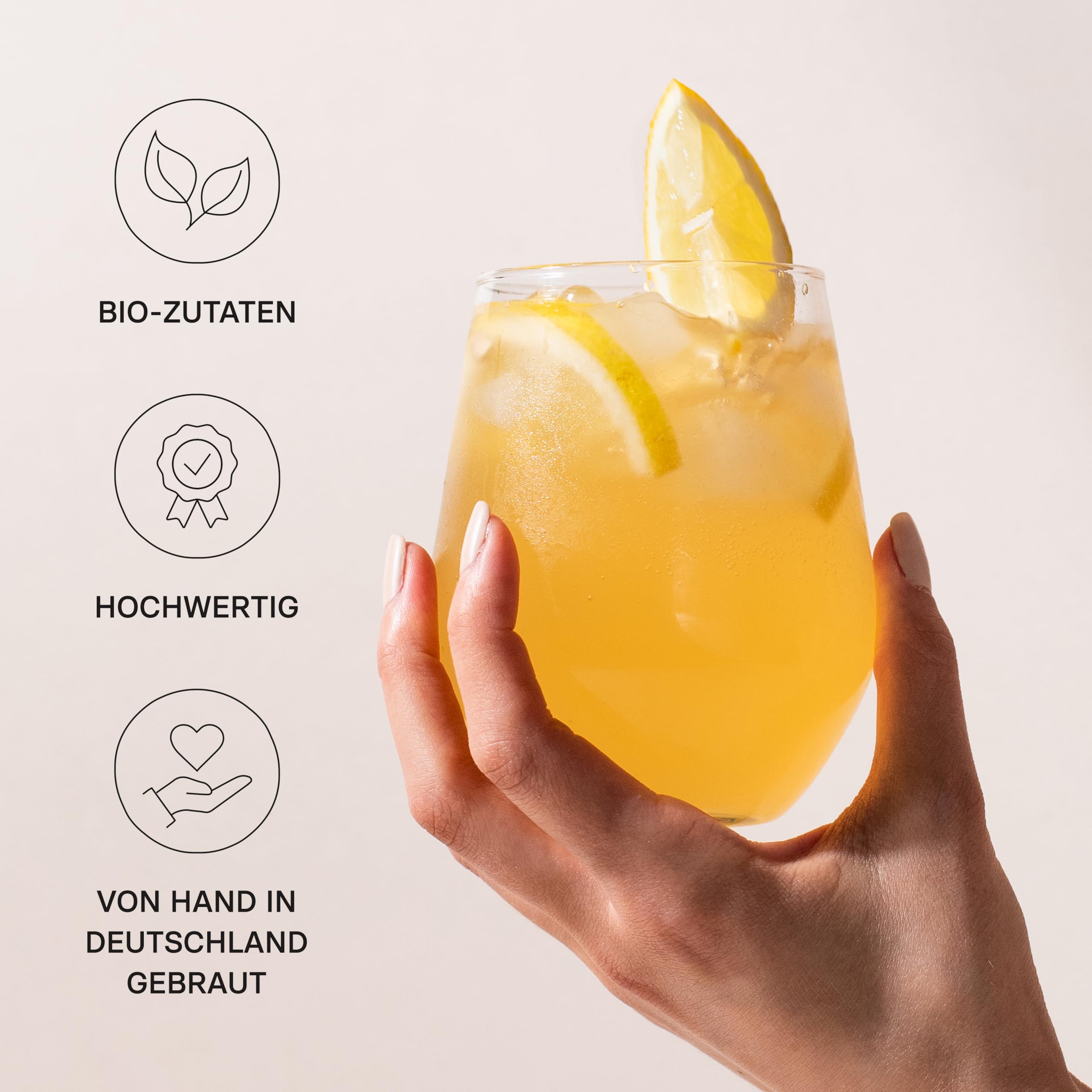 ROY Probierpaket Kombucha Bio mit 5 Sorten, 6 Dosen à 330 ml Bio Kombucha, handgefertigt in unserer Berliner Brauerei, vegan, glutenfrei, laktosefrei, 6er Pack, inkl. 1,50€ Pfand