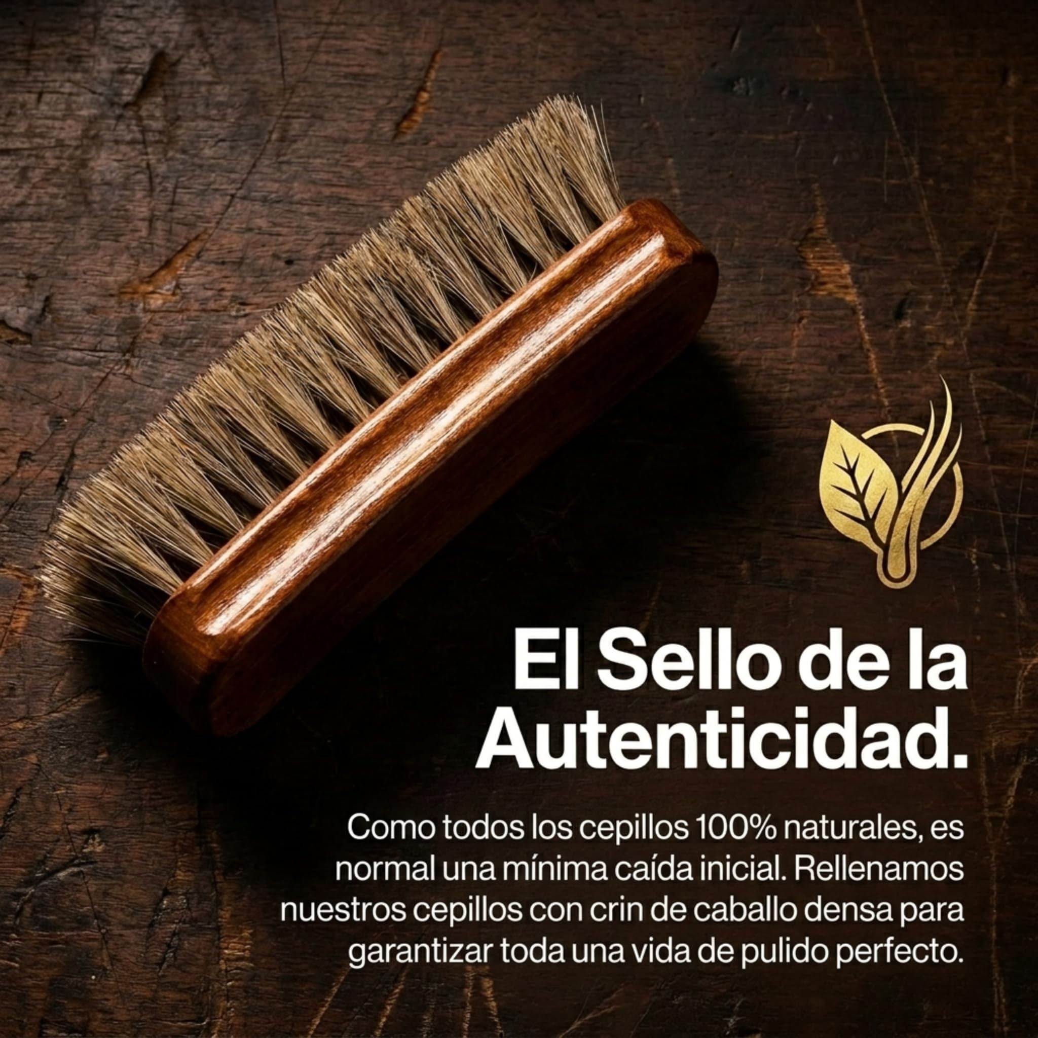 Kaps Cepillo para Zapatos, Cerda de Pelo Natural, Limpiar y Pulir (15cm)