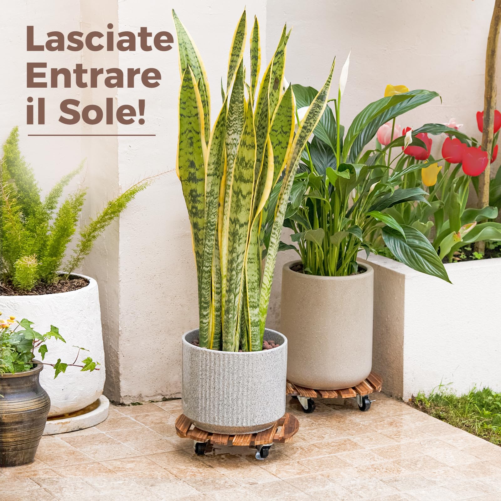 Bamworld Lot de 2 paniers à plantes en bois 35,6 cm avec roulettes – Chariot robuste 108,9 kg roues verrouillables 360°