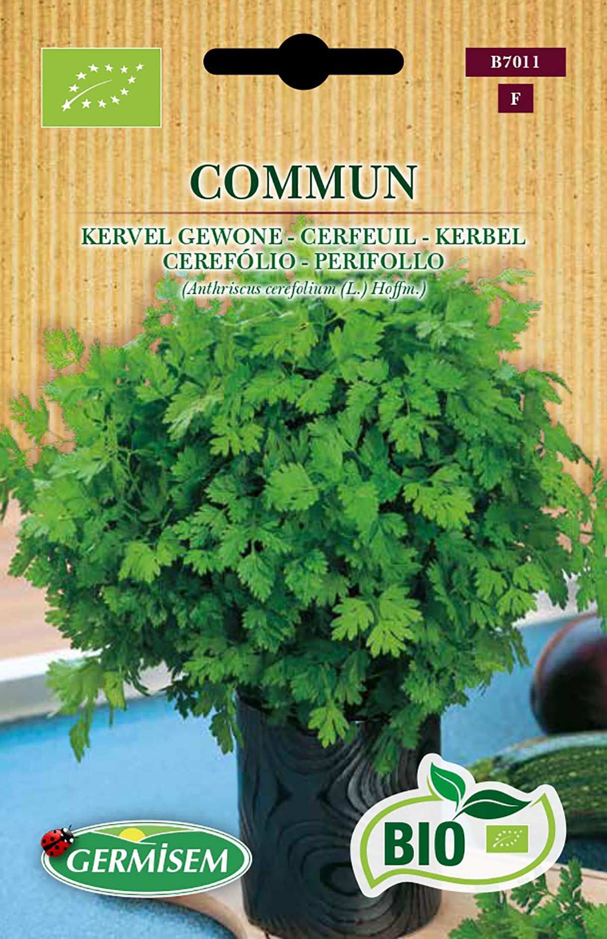 Germisem Bio Graines Cerfeuil COMMUM