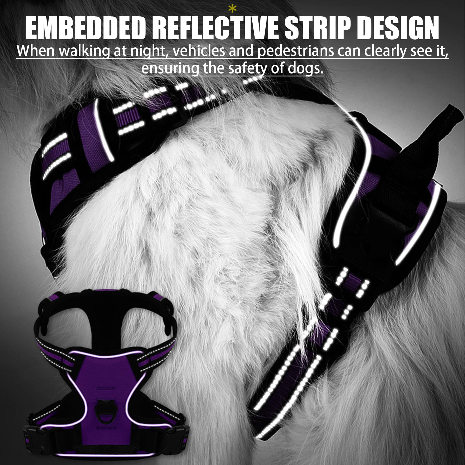 DKDDSSS Harnais Chien No Pull, Harnais Anti Traction pour Chien, Moyen, Violet M