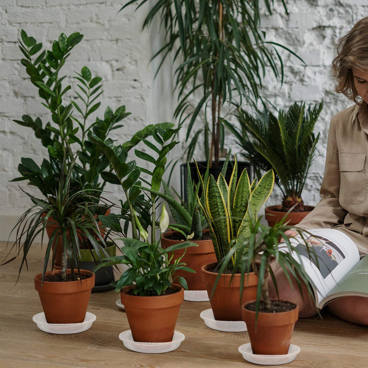 Buy Lainrrew Plant Saucer, 18 Pcs Clear Plant Trays Plastic Plant Pot