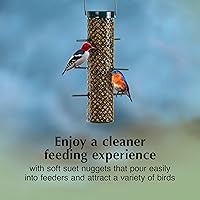 Vista 5 de C&S Pepitas de Sebo Azul para Aves Silvestres Mega Caja, 8 Libras