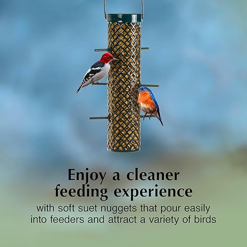 Miniatura 4 de C&S Wild Bird Bluebird Seet Nuggets Mega Box, 8 libras