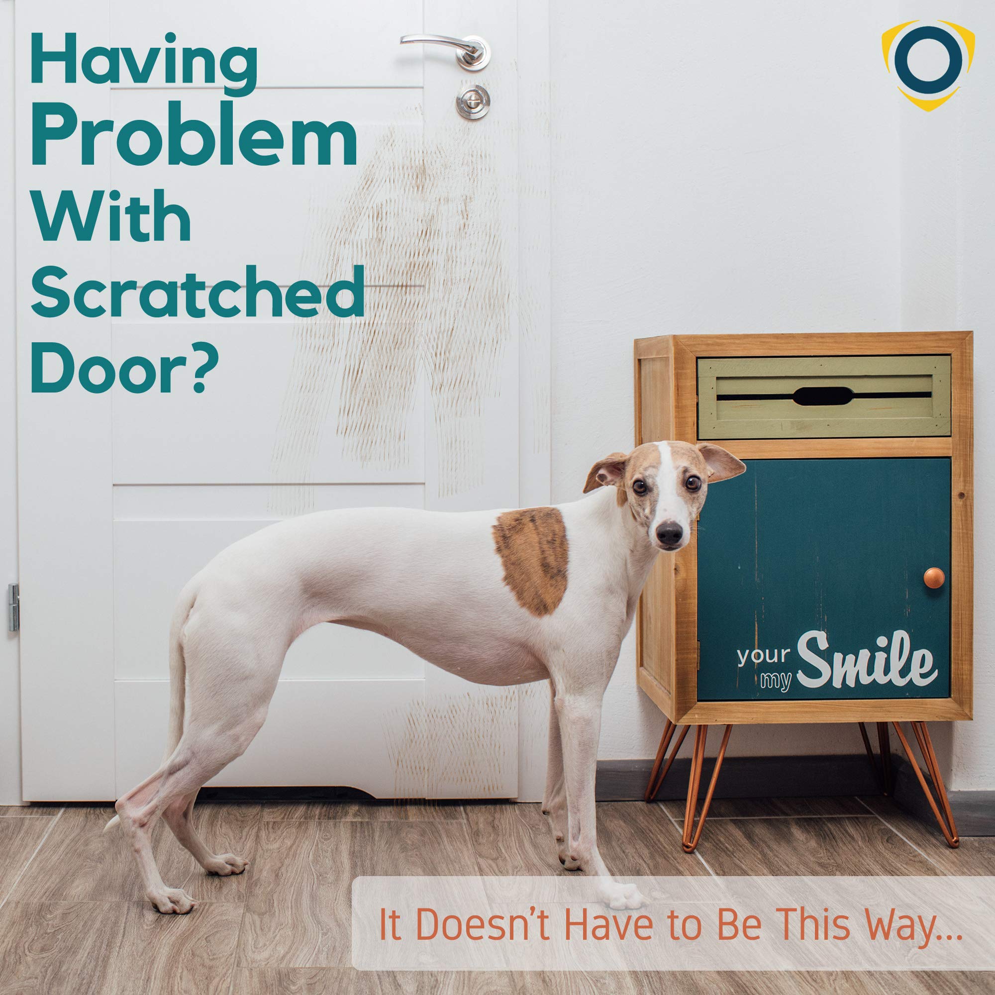 What If You Get Scratched By A Dog