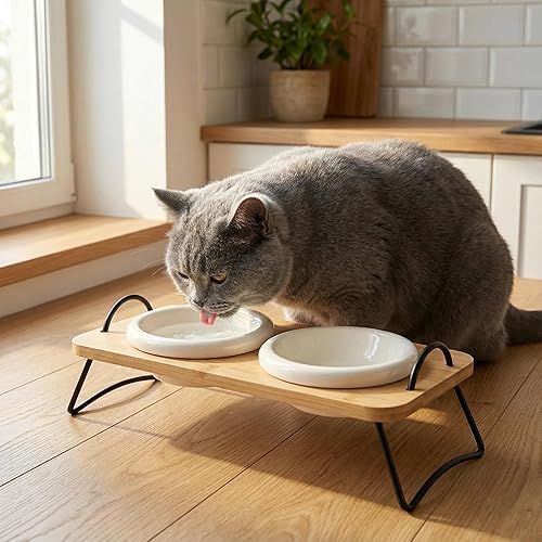 Miniatura 3 de Cuencos elevados para gatos, cuencos elevados de cerámica para gatos para alimentos y agua con diseño inclinado, antivómitos, cuenco para mascotas