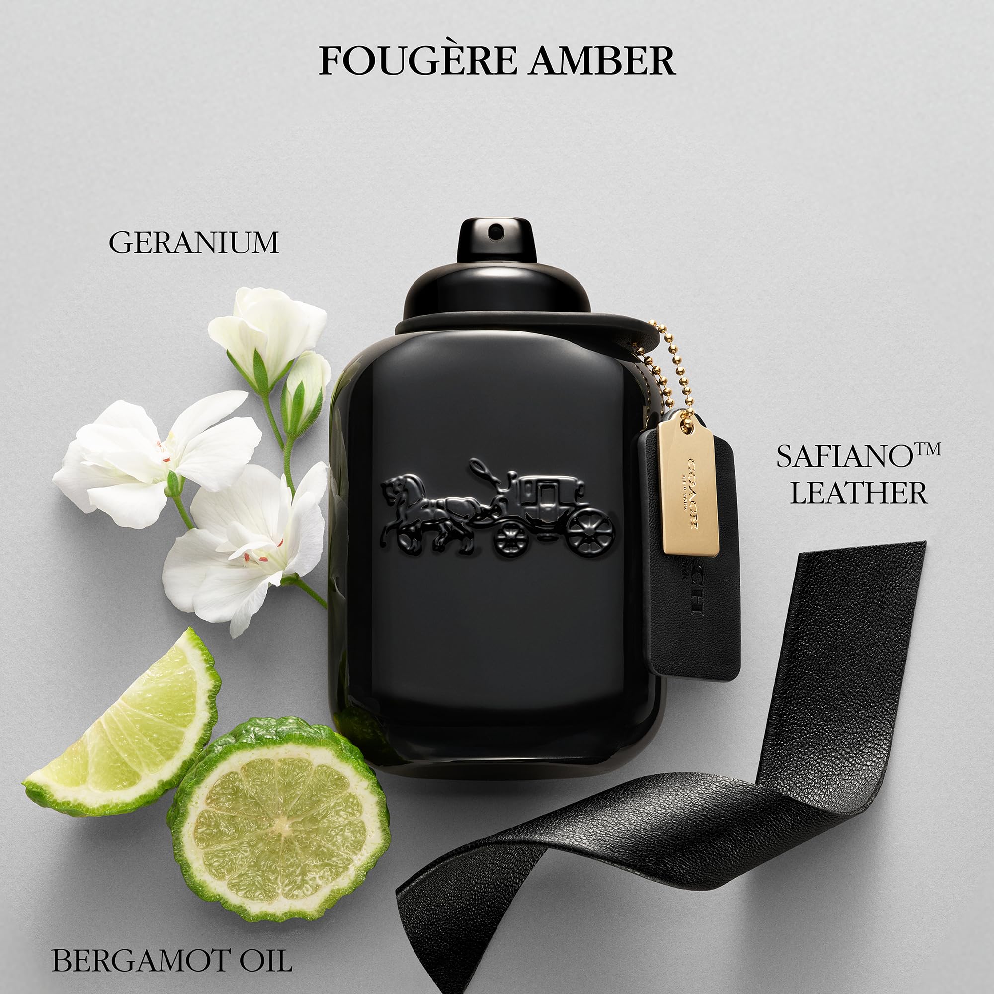 Amazon | コーチ マン オードパルファム 100mL | COACH