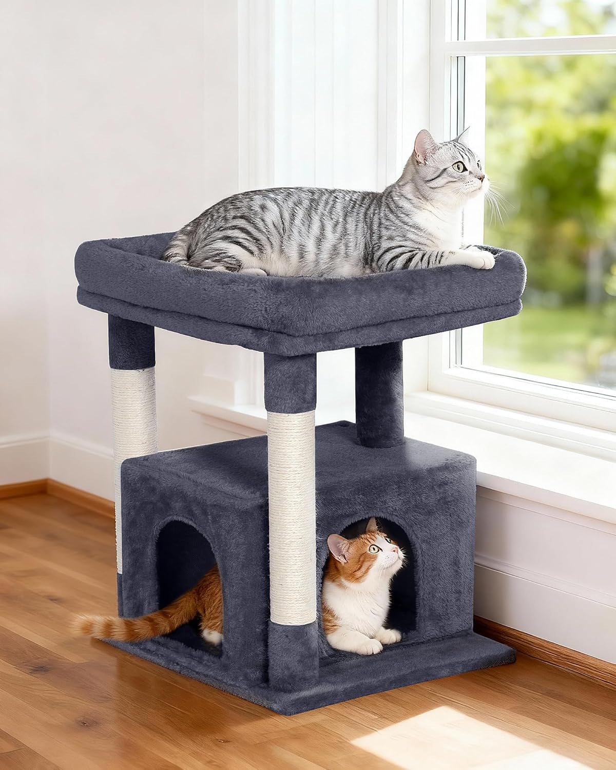 Cat Tree for Large Cat, 19 * 15.8in Large Perch Bed for Adult Cats, 23.6in Cat Tower with Scrathing Post, Cat Condo with 2-Door for Indoor Cats, Dark Gray