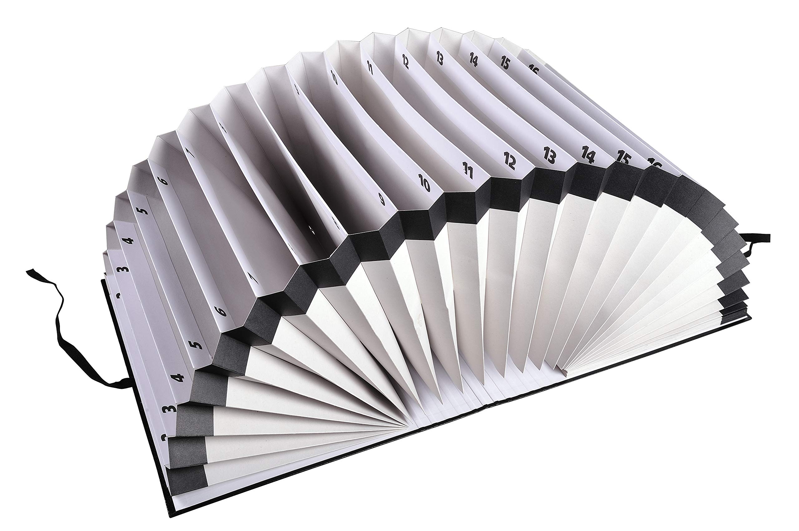 Exacompta - Réf. 61650B - 1 trieur accordéon grande capacité - intérieur en carte recyclée - fermeture par ruban - 32 compartiments numériques de 1 à 31 - dim 38,5x24 cm - pour A4 - couleur noir