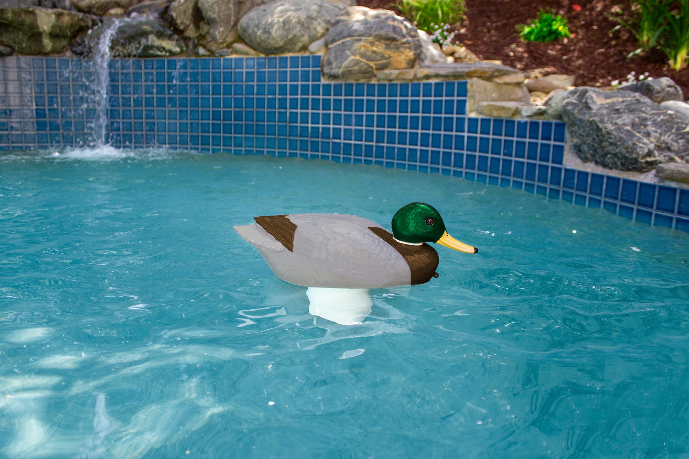Poolmaster 32130 ChloriDuck Mallard - Dispenser di cloro