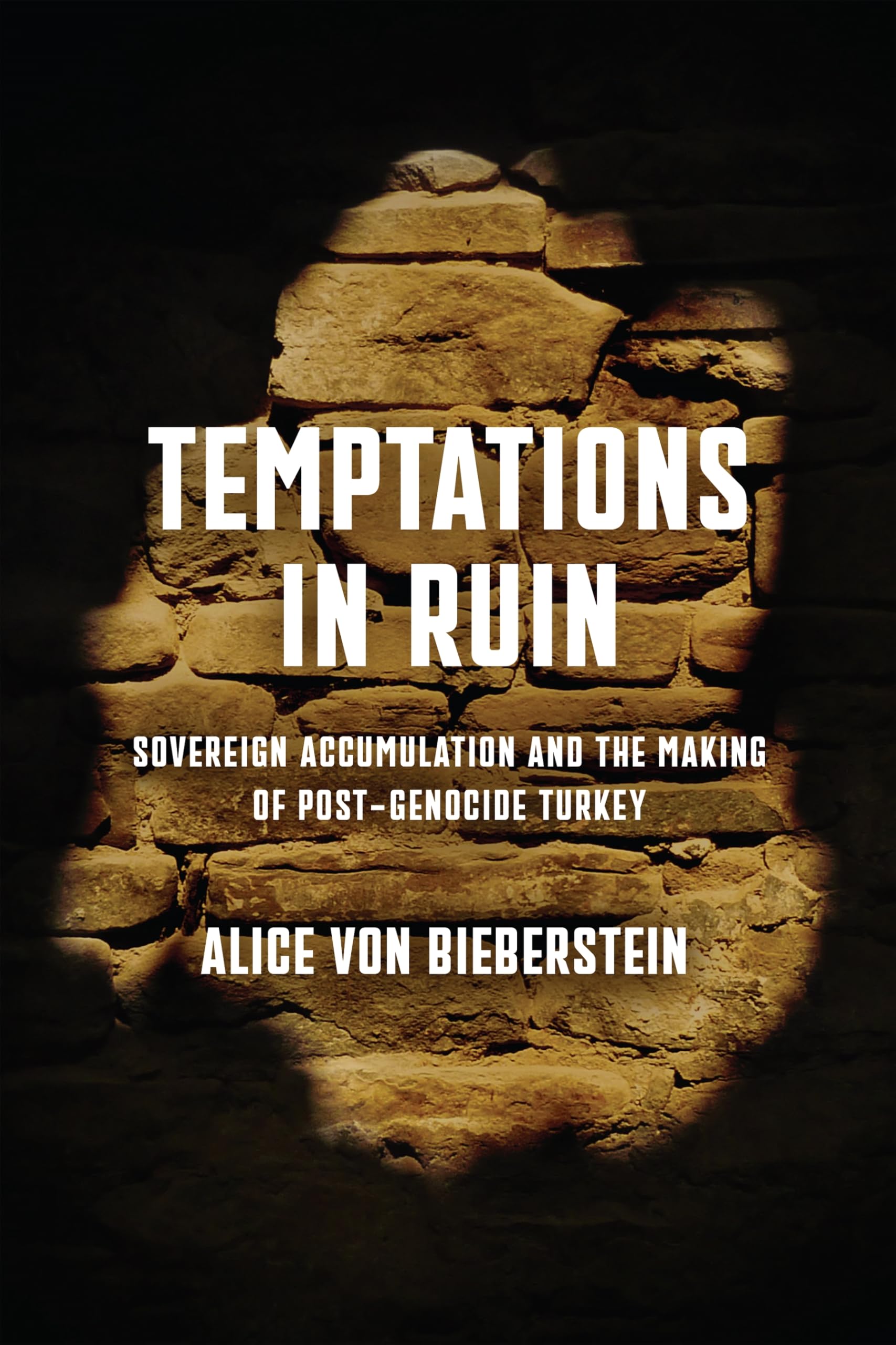 Temptations in Ruin by Alice von Bieberstein (Hardback Book)