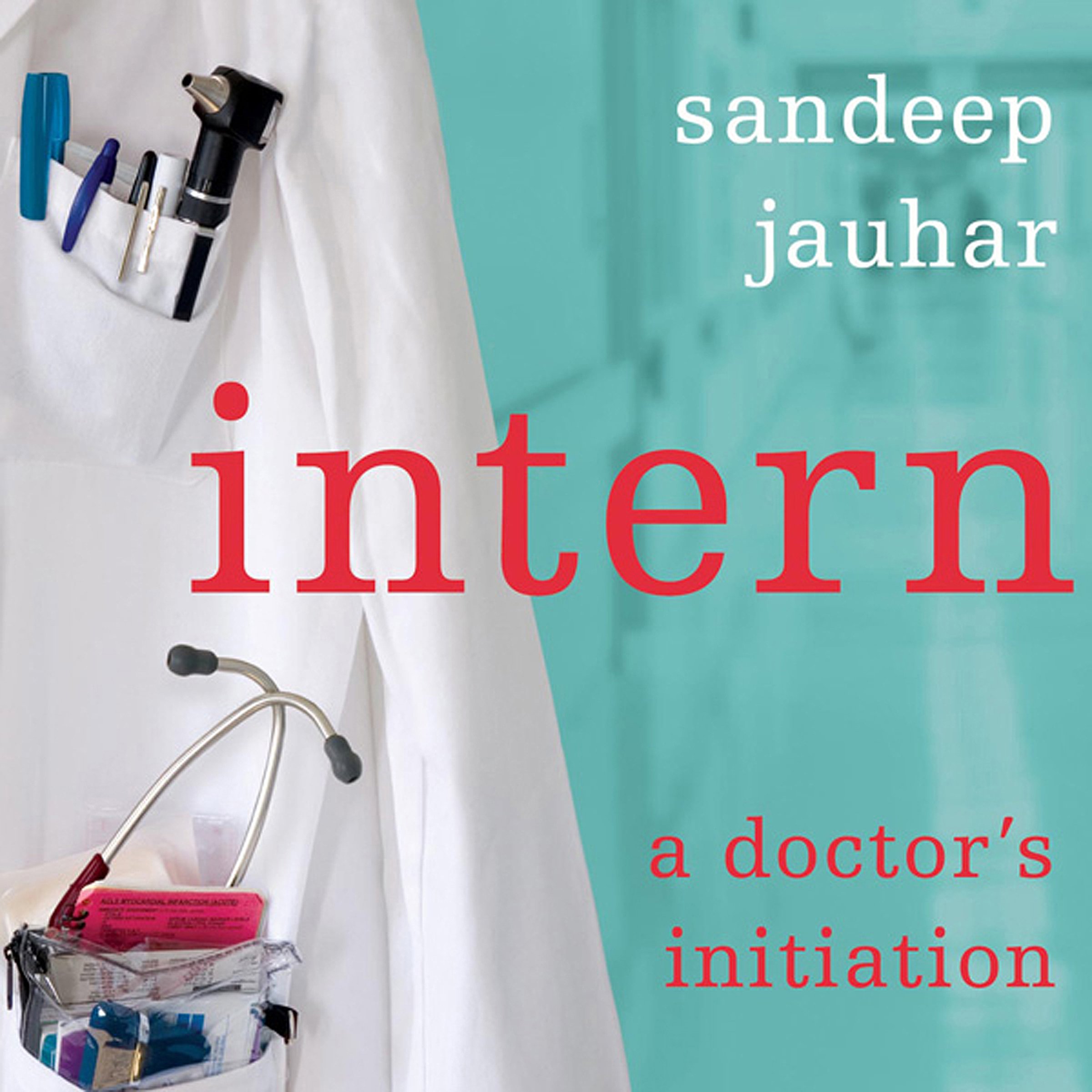 Cover art for Intern