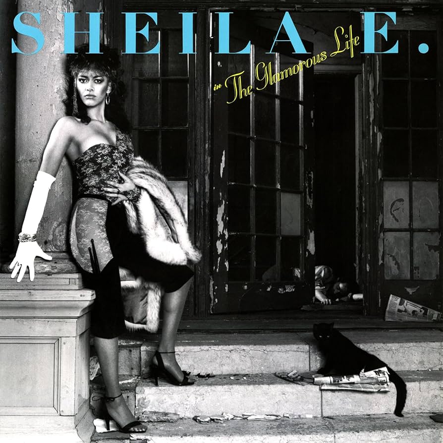 s*r様 ◆セクシープリンス族◆Prince/Sheila E. レコード 2作 s*r様 ◇セクシープリンス族◇Prince/Sheila E. レコード 2作 s