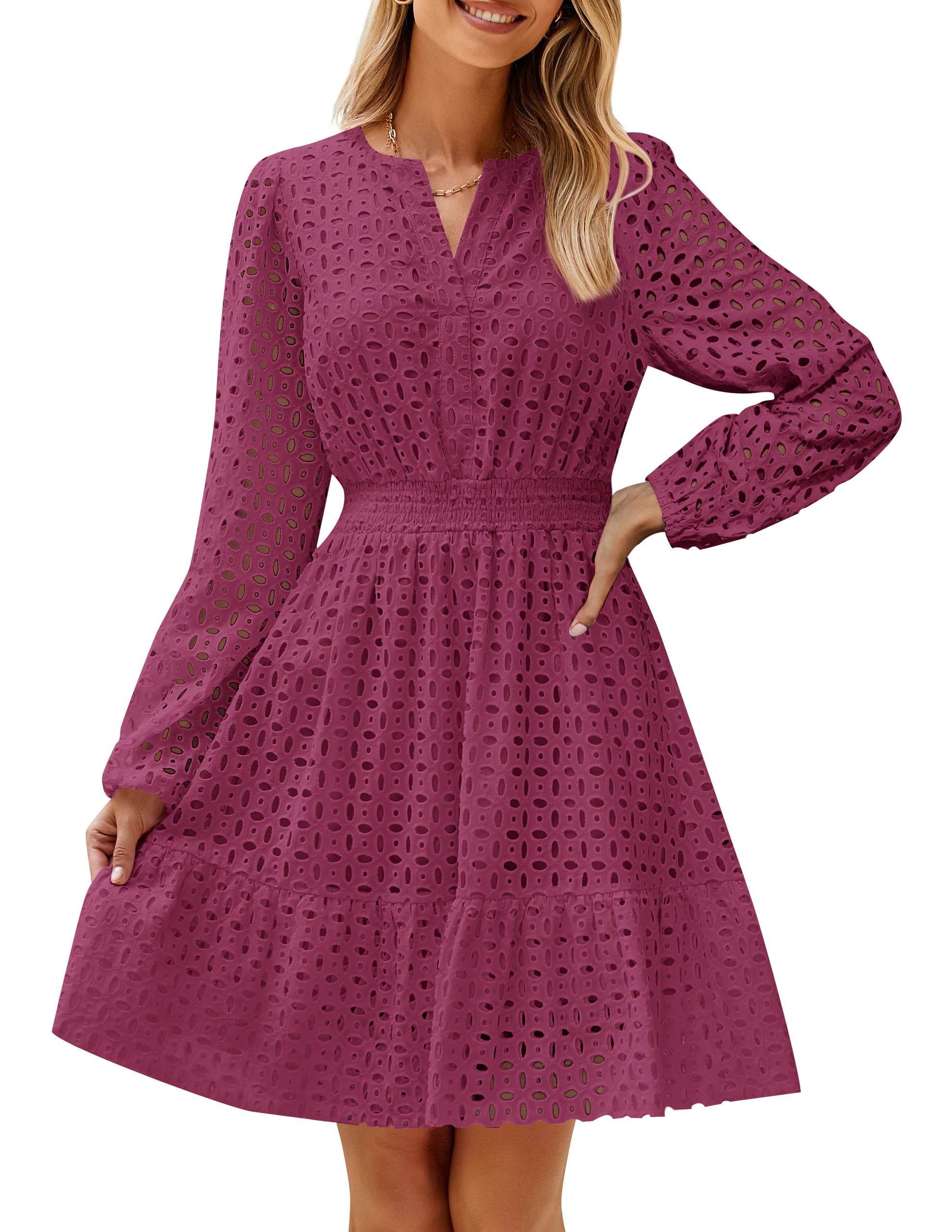 ZESICA Womens Fall Long Sleeve Eyelet Embroidery Mini Dress