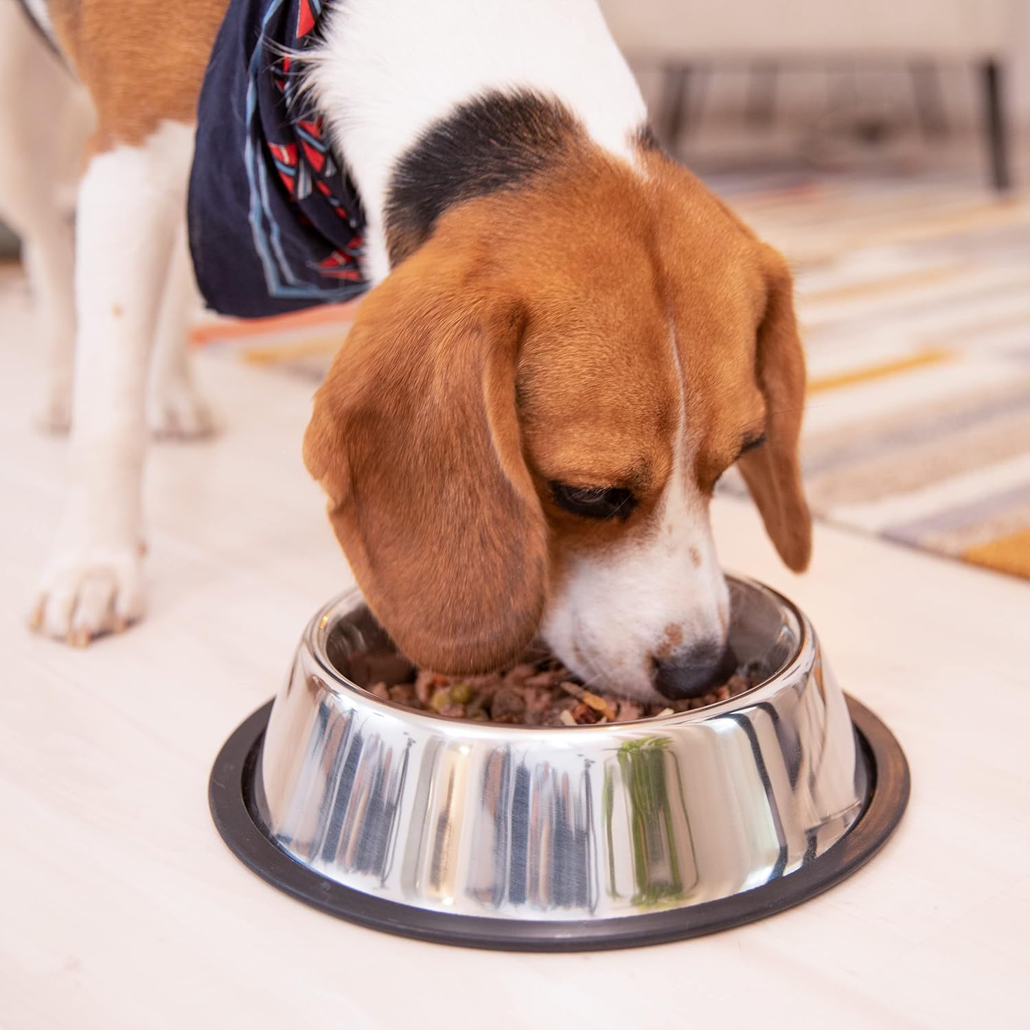 Relaxdays Dog Feeding Bowl Set of 2, Water Dish, Feeding Station, Non-Slip. Stainless Steel, Size M, 0.5 L, Silver