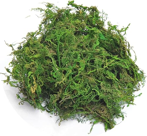 Miniatura 7 de TOPCOMWW Musgo falso para decoración de centros de mesa, musgo verde Aftificial para manualidades de plantas, 3.5 onzas