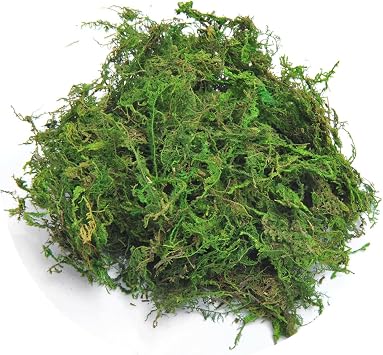 TOPCOMWW Fake Moss, 10.5oz Aftificial Decorative Green Grass for Centerpieces, Plant, Crafts, Flowers