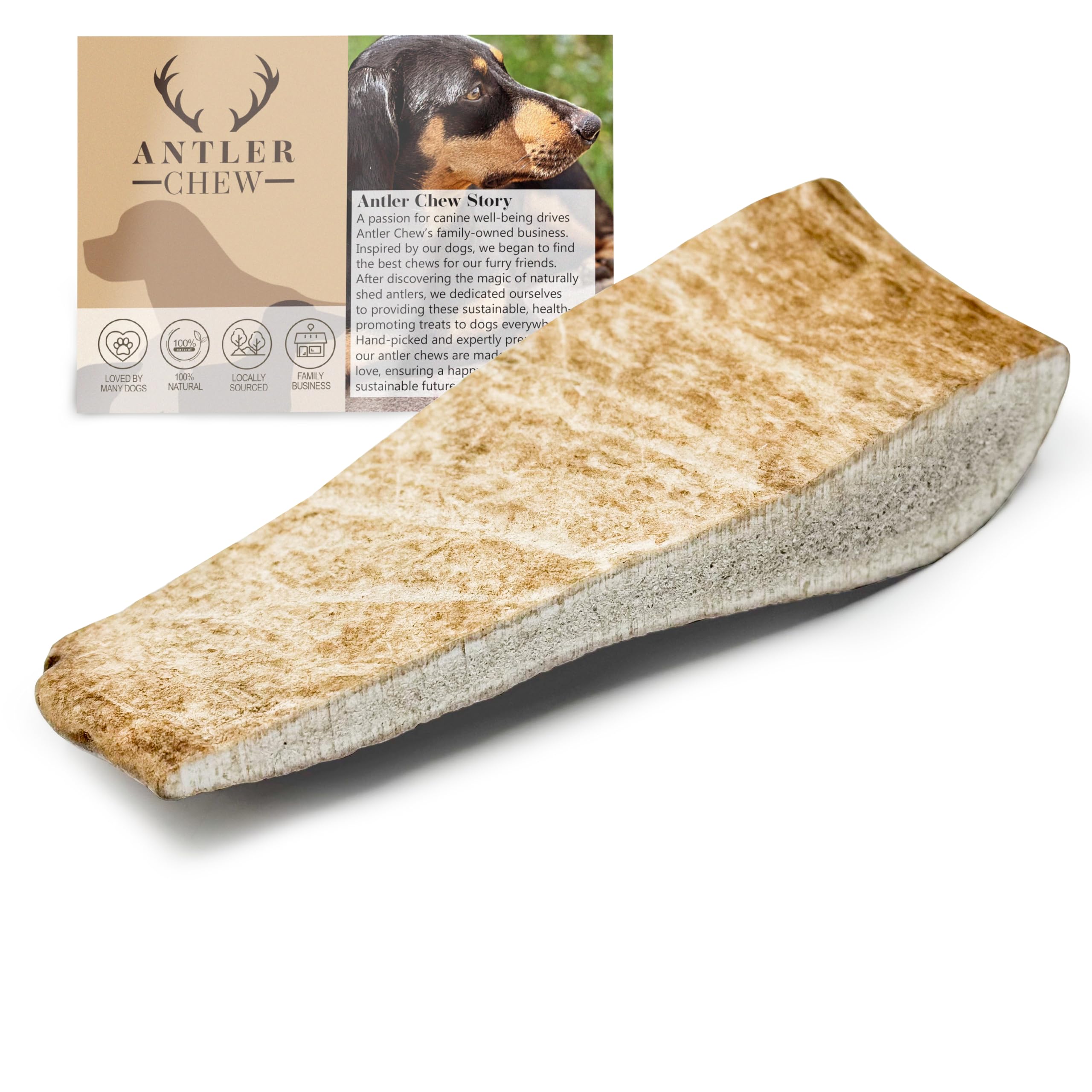 Fallow Deer Antler Dog Chews Medium (Weight 75-120g, From 10cm) Sanded, Naturally Shed