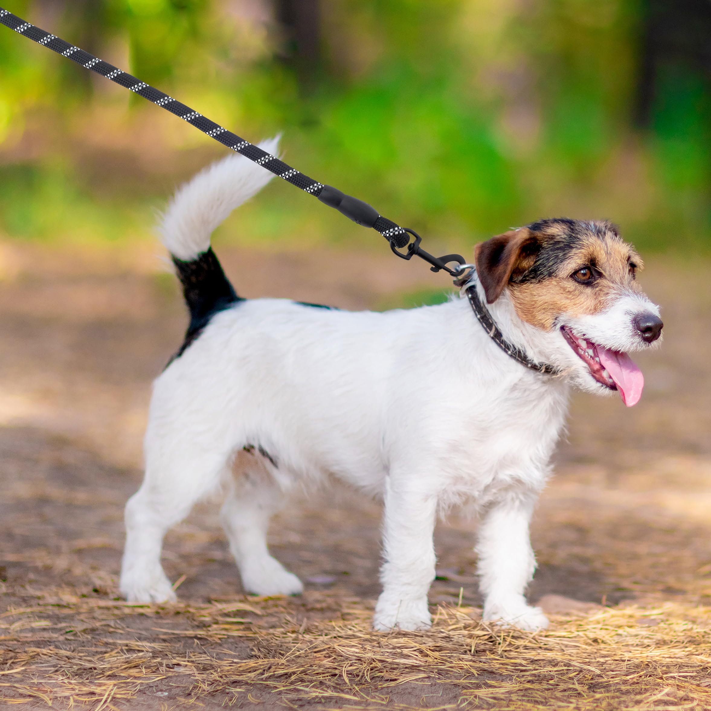 Conjunto De Arnés Y Correa Reflectante Para Perro Sin Tiron | Cuotas