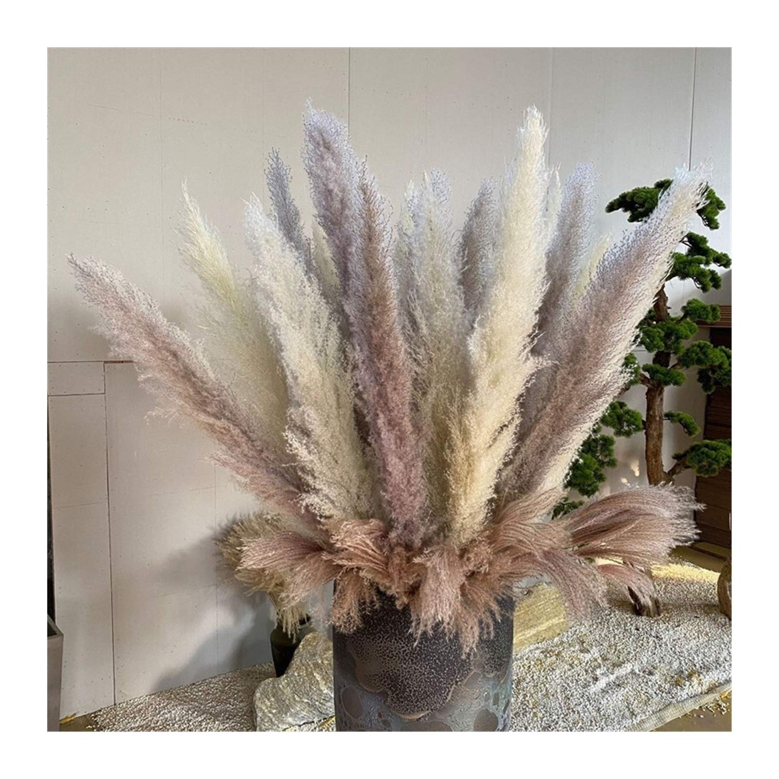 Pampasgras Deko 80cm Natürliches Schilfgetrocknet Getrocknete große Pampas Gras Bouquet DIY Hochzeit Blumenzeremonie Dekoration Modernes Wohnkultur Trockenblumen
