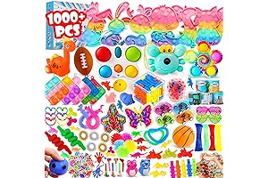 Massive Collection of Class Party Favors (1000 Pcs)