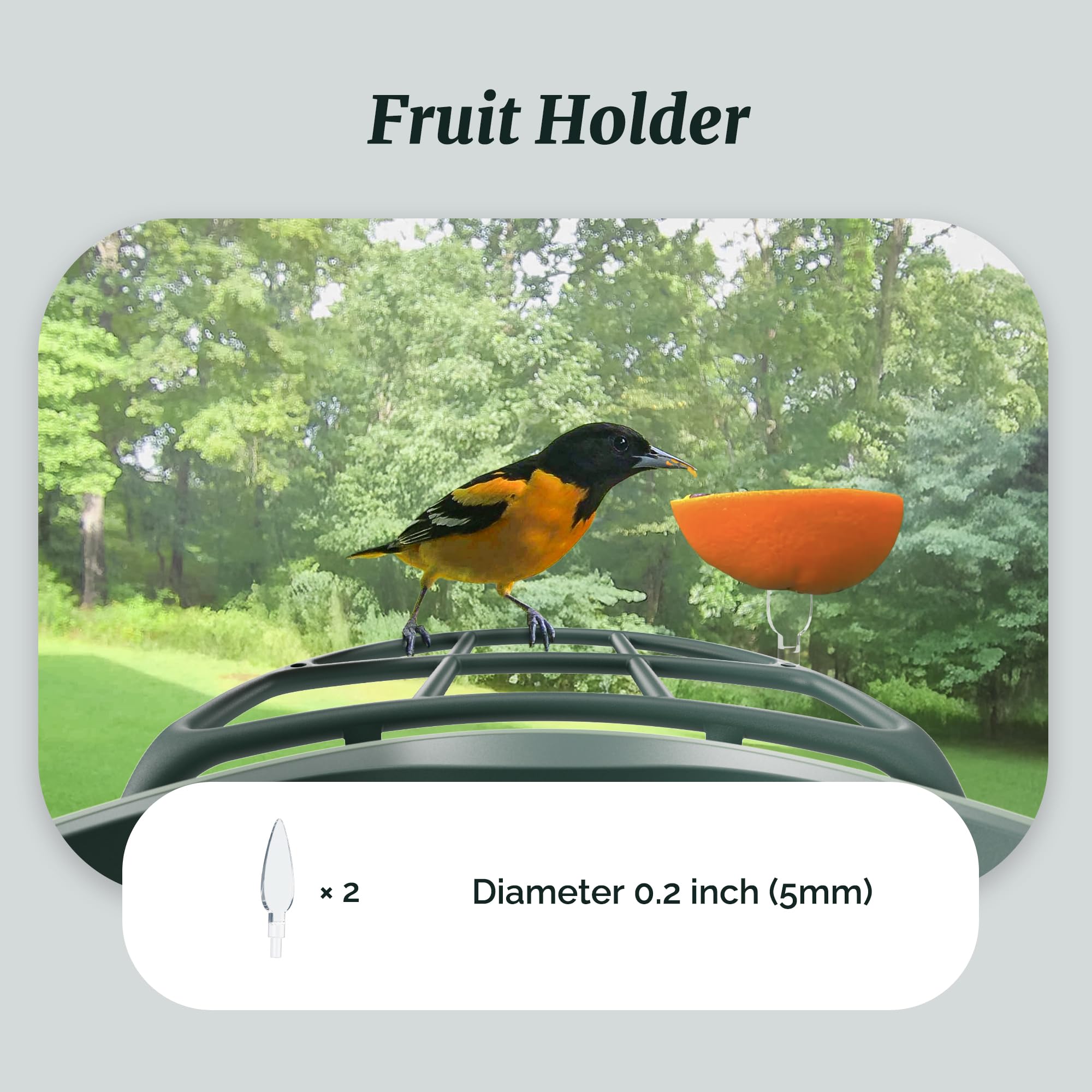Kiwibit Beako - Kit completo de comedero para pájaros, incluye mini comedero de colibrí, 2 soportes para frutas, comedero de gelatina, compatible con Beako Smart Bird Feeder con cámara para atraer más