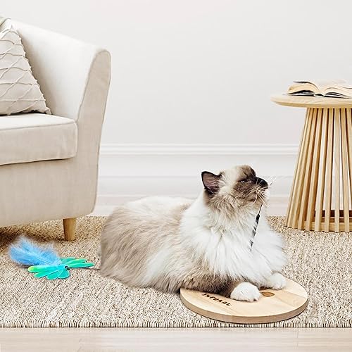 Miniatura 8 de JXFUKAL Juguete interactivo para gatos, juguete automático para gatos