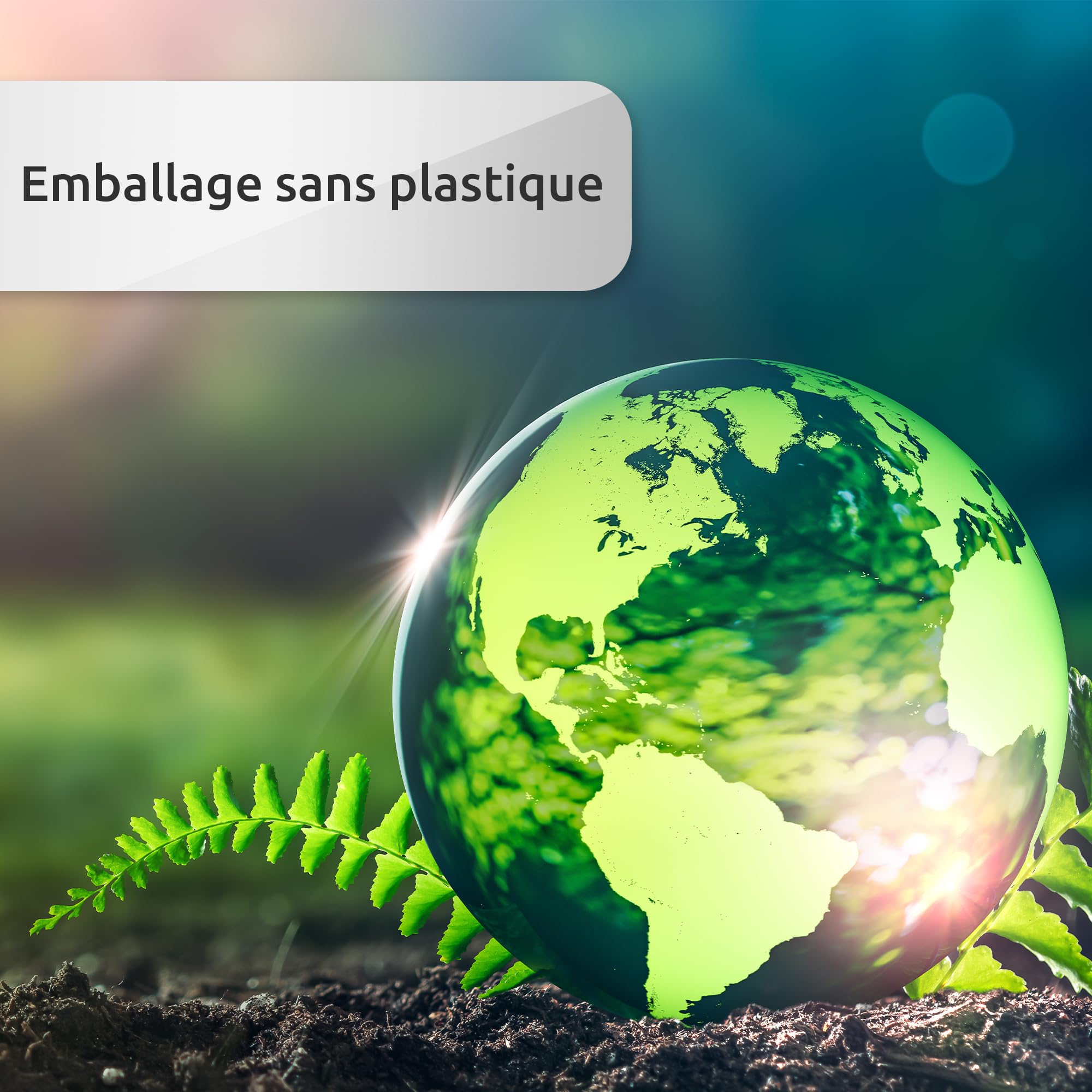 ECENCE 100 Tendeurs élastiques avec Boule en Plastique Blanc Tendeur bache | élastiques de tente pour les bâches, pavillon de jardin, tentes