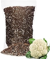 Vista 14 de GARDENERA Suelo orgánico prémium para macetas para papas (bolsa de 1 cuarto de galón)